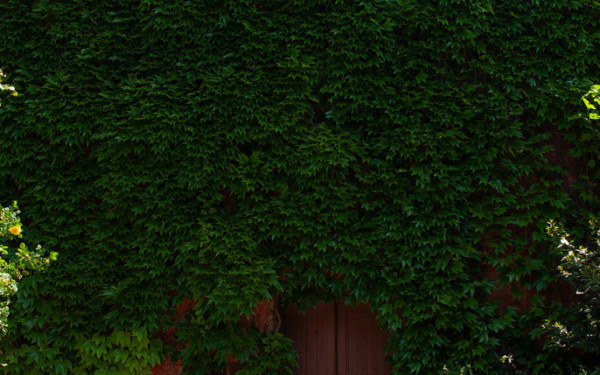 Potocco_Set_Solar_961-P.hd